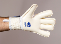 Вратарские перчатки Bravry Aqua Hybrid