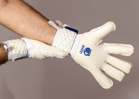 Вратарские перчатки Bravry Aqua Hybrid